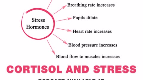 Cortisol and Stress