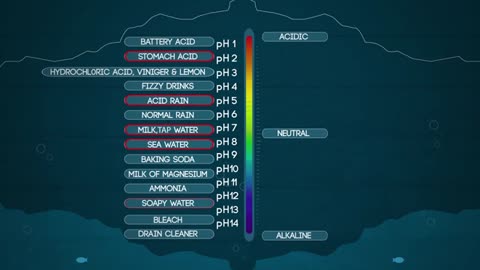 What Is The pH Scale