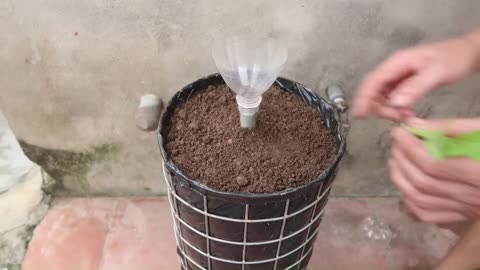DIY Vertical Gardening