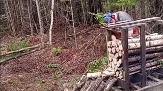 Cutting up small firewood