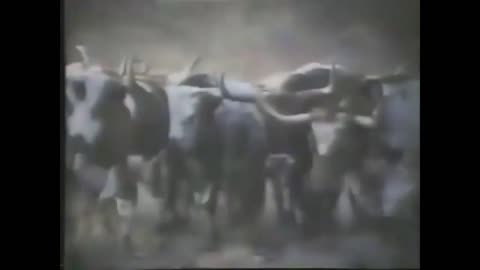New York was the Beginning of the old west,video tells you how 1 minute 30 secs