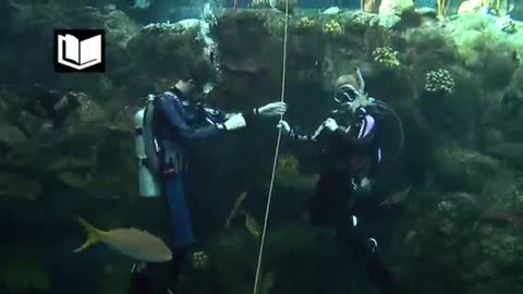 NAUI Open Water Scuba Diver, part 4 of 7