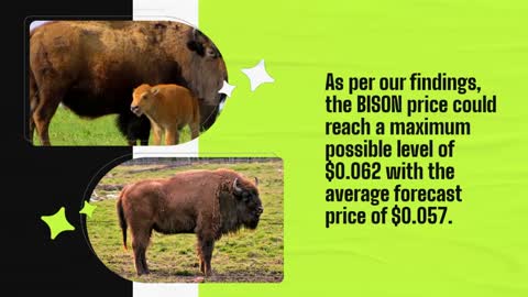 BiShares Price Prediction 2022, 2025, 2030 BISON Cryptocurrency Price Prediction