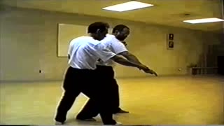 Chinese kung fu | Seminar by sifu Kiem Hoo Lee (1999).