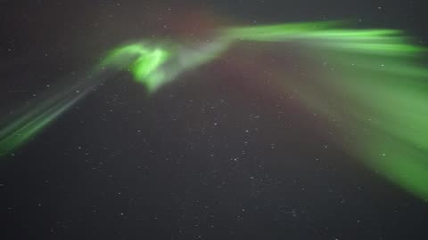 Stunning Northern Lights (Aurora Borealis) Chasing Tour in Fairbanks, Alaska