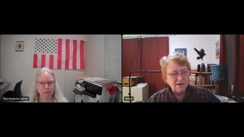Clip from the recent Anna von Reitz Webinar explaining what Federal Income Tax is and who it applies to.