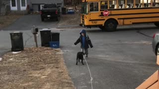Puppy greets little boy as he gets off the bus