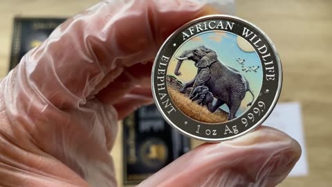 African Wildlife Series: Somalia Elephant 2022 Bavarian State Mint 1oz Coloured BU Coin
