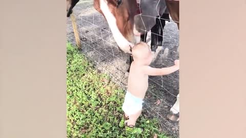 Cutest Videos of Babies, Children and Animals in a Greater Mood
