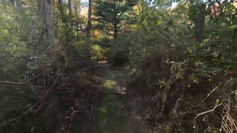 Mowing ATV trails through 7 acres of forest
