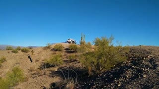 Alamo Lake Arizona