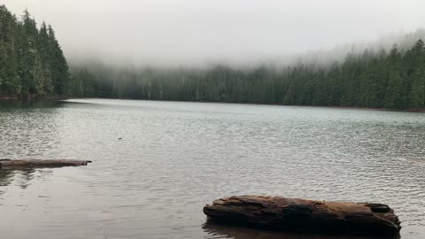 Foggy Lower Twin Lake in Silence – Mount Hood National Forest – Oregon – 4K
