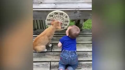 Funny baby and cat😅😂