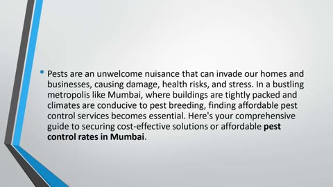 Affordable Pest Control Solutions in Mumbai: Your Ultimate Guide