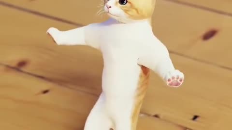 Cute Cat dance video | Cute Cats 🤩