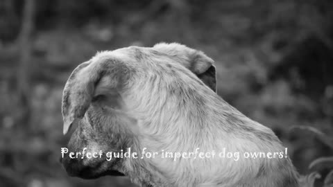 Perfect guide for imperfect dog owners!