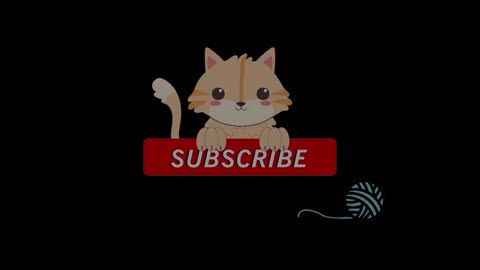 Cats aestethic videos