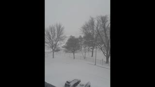 Snow Storm, Ontario