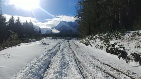 Pooches -Fresh Air-Sunshine-Forests-Elevation-BIG peaks and Snow