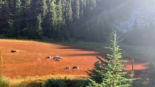 Oregon - Mount Hood - Red Meadow + Wall O' Boulders