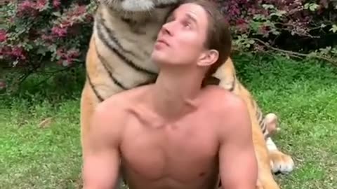 Watch this adorable Tiger share a cute moment with its owner