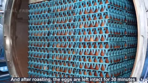 How Millions of Duck Eggs Produce Mud Salted Eggs - Salted Duck Egg Factory - Roast Duck Processing