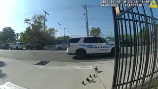 Good Samaritan Cop Helps Lost Family Of Ducks Reunite With Their Flock At Park Pond