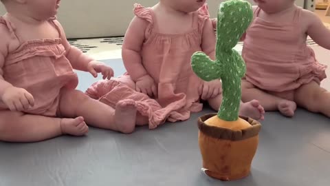 Now I have three crying babies and a crying cactus!