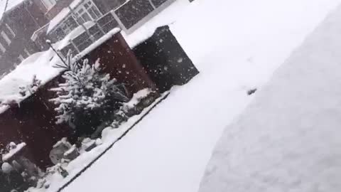 Snowing in uk