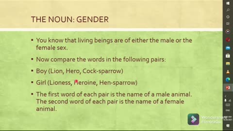 "Demystifying Noun Gender: A Complete Explanation"