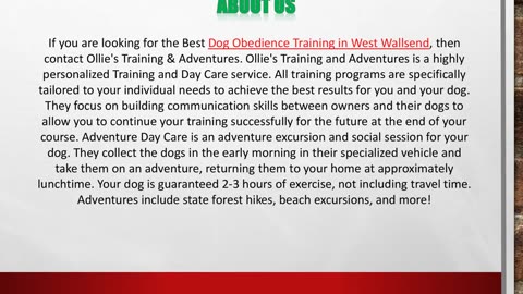 Dog Obedience Training in West Wallsend