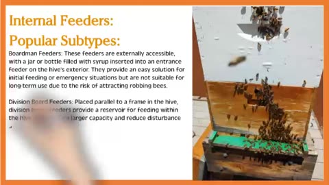 The Different Types of Honey Bee Feeders