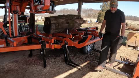 Walnut Root Ball on Wood Mizer LT35 HD Sawmill, Cut on Free Sawmill Weekend
