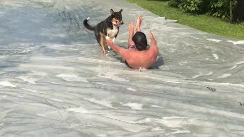 Slip and slide with the dog
