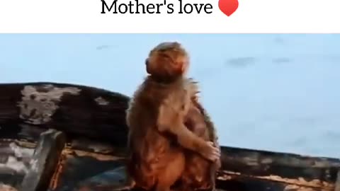 Mother's Love to the child