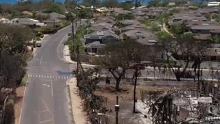 Things That Did Not Burn During The Lahaina Fire