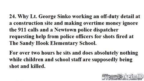 '34 Questions On Sandy Hook Shooting That Need To Be Answered' - 2013