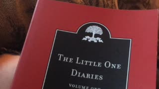 Jamie's Bookshelf: Little One Diaries