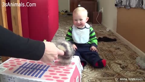 Baby and Cat are Best Friends 🐱 Funny Pets Videos