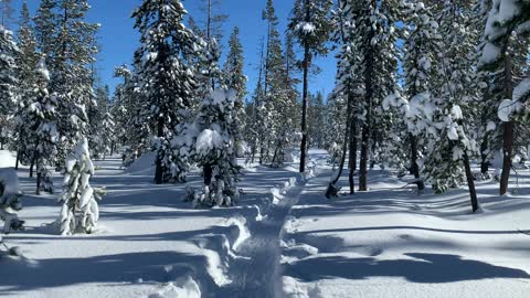 Hiking Through the Snow – Central Oregon – Swampy Lakes Sno-Park – 4K