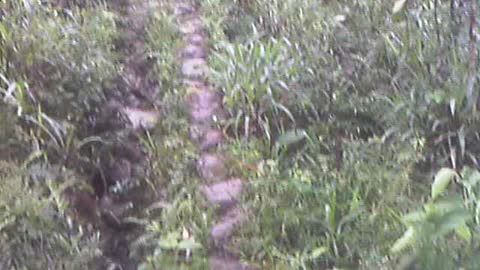 Handmade Rock Trail to 7 Petroglyphs Pena Blanca Ecuador