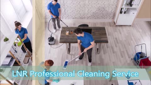 LNR Professional Cleaning Service - (810) 202-8140