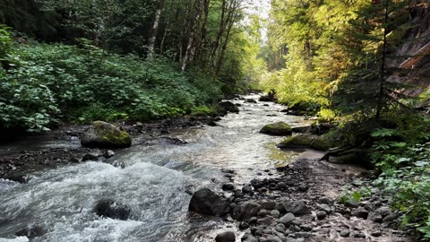 SERENE SILENCE @ BEAUTIFUL Muddy Fork Creek! | Ramona Falls | Mount Hood Wilderness | 4K | Oregon