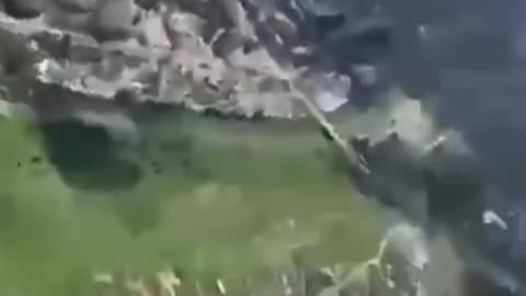 Viejos YAK-52 cazando drones rusos sobre Odesa