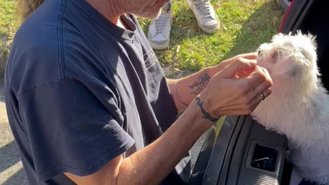 Dad Gets Emotional When Surprised With Two New Puppies