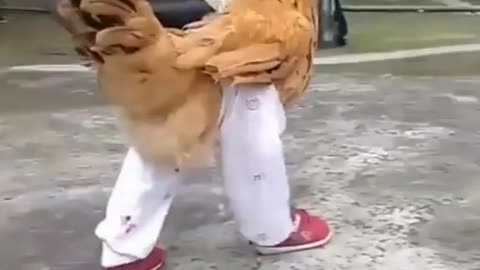 Funny chicken 🐔 Try Not To Laugh