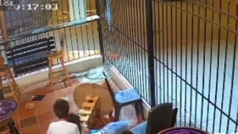 Video: así fue el ataque armado a restaurante de comidas rápidas por no pagar la 'vacuna'