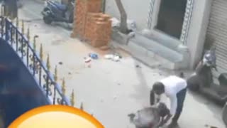 Angry bull hit child