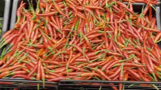 Hot red pepper in Superstore Canada