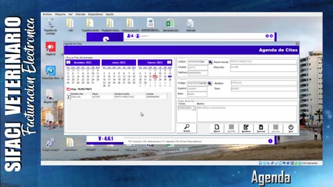 agenda - Explicacion Sifaci Veterinaria 4_6_1 con FE